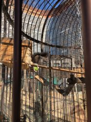 -萌宠亲子动物乐园(槐房万达店)