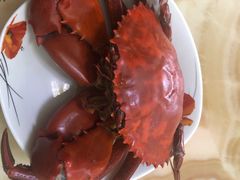 -南沙十九涌渔人码头-南门