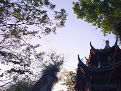 -朴园