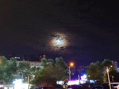 -大树餐厅(红旗街万达店)