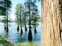 -南国桃园旅游度假区