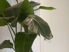 -壹点灵·心理咨询中心(中山公园店)