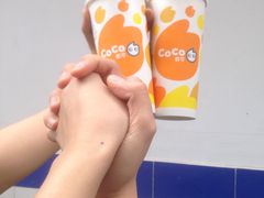 -CoCo都可(新街店)