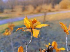 -长春公园(普阳街道)