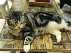 -小时光咖啡馆(开森度假森林店)