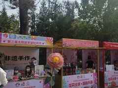 -太阳宫公园