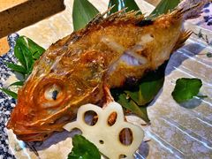 -达摩君日本料理(泰海花园小区店)