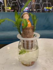 -菲·木田moontin造型salon