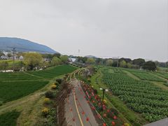 -苏州太湖西山岛开心农场