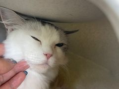 -怪兽屋·羊驼·猫咖·狗咖(俊华广场店)