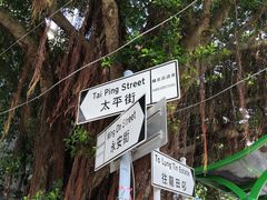-大澳渔村及棚屋