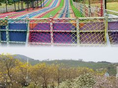 -盈香心动乐园