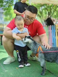 -萌宠亲子动物乐园(槐房万达店)