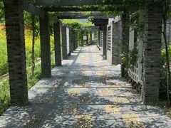 -龙寺生态园
