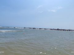 -日照海滨国家森林公园
