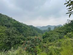 -蟠龙山长城景区