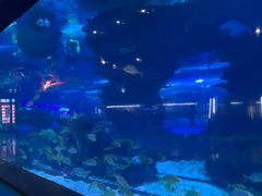 -上海海昌海洋公园-冰山北极馆