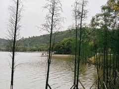 -顺峰山公园