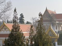 -洛阳白马寺