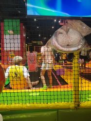 -蹦蹦跳跳(新奥购物中心店)