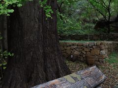 -昆嵛山石门里景区
