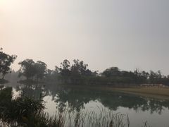 -两河城市森林公园