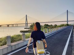 -芒洲湿地公园