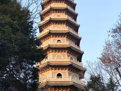 -灵谷景区