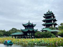 -桂湖森林公园