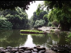-成都市活水公园