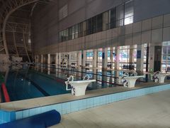 -广西体育中心-游泳馆