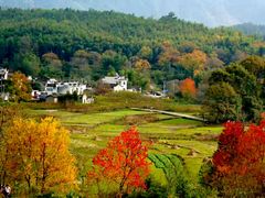 -塔川景区