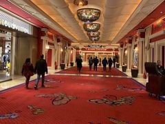 -拉斯维加斯永利酒店