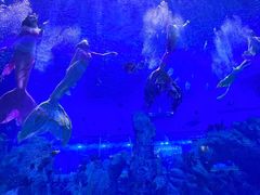 -石家庄极地海洋世界