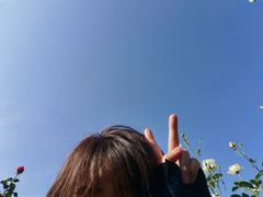 -人民公园(罗湖区)