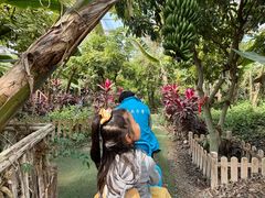 -呀路古热带植物园