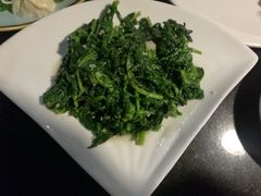 -云中小雅