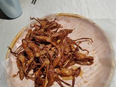 -渔意如意·首创金鲷顺德鱼生