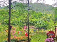 -深圳仙湖植物园