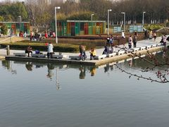 -白塘生态植物园