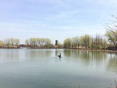 -长兴太湖图影湿地文化园