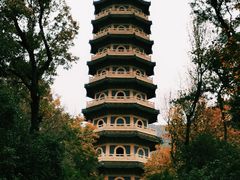 -灵谷景区