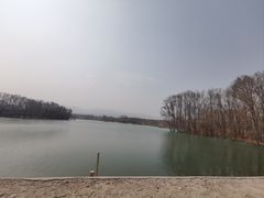 -中华三祖圣地黄帝城遗址文化旅游区