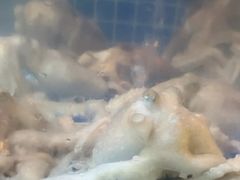 -老班长大酒店(海关大楼店)