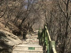 -少华山国家森林公园