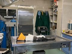 -动物缘宠物医院·骨科·猫科(西二环店)