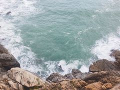-广东惠东海龟国家级自然保护区