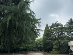 -宋庆龄陵园