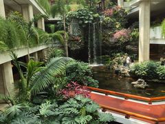 -广州白天鹅宾馆