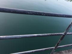 -广州市流溪河国家森林公园
